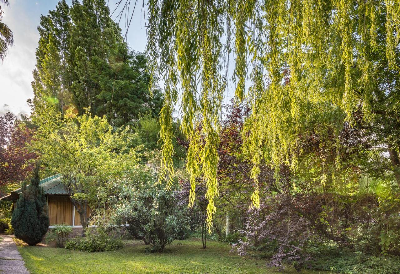 Alquiler Temp "Una Pausa" Barrio Privado En Vistalba Мендоса Экстерьер фото