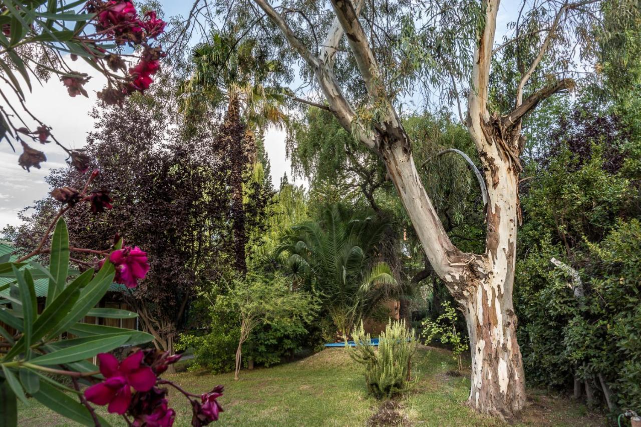Alquiler Temp "Una Pausa" Barrio Privado En Vistalba Мендоса Экстерьер фото